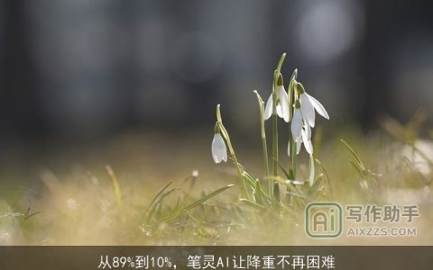 从89%到10%，笔灵AI让降重不再困难