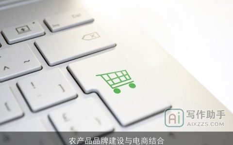 农产品品牌建设与电商结合