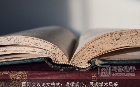 国际会议论文格式：遵循规范，展现学术风采