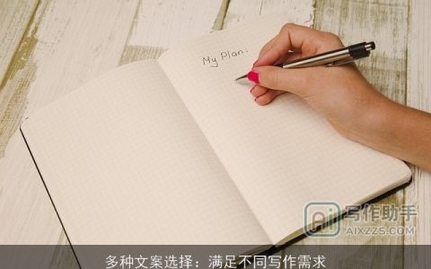 多种文案选择：满足不同写作需求