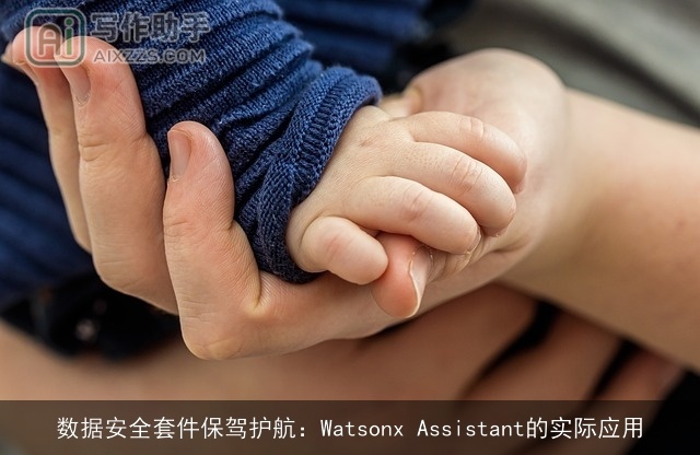 数据安全套件保驾护航：Watsonx Assistant的实际应用