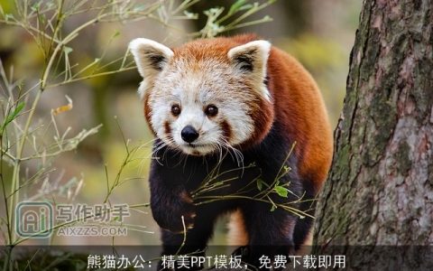 熊猫办公：精美PPT模板，免费下载即用