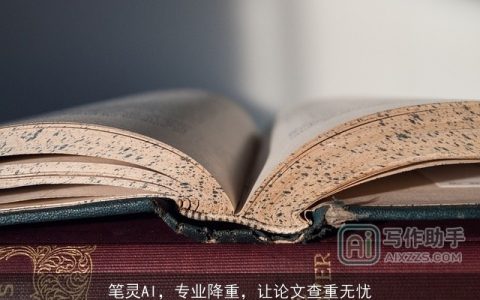 笔灵AI，专业降重，让论文查重无忧