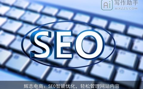 辉志电商：SEO智能优化，轻松管理网站内容