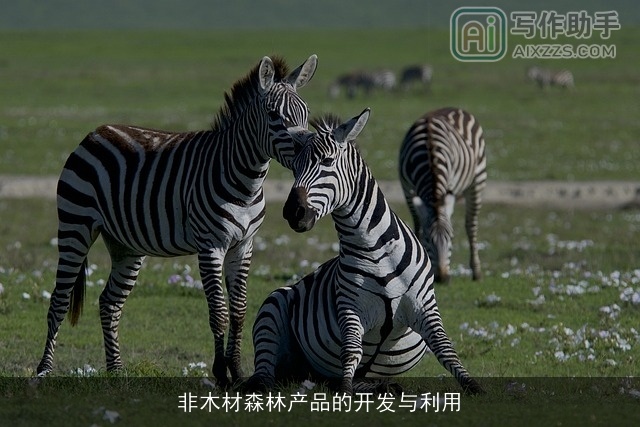 非木材森林产品的开发与利用