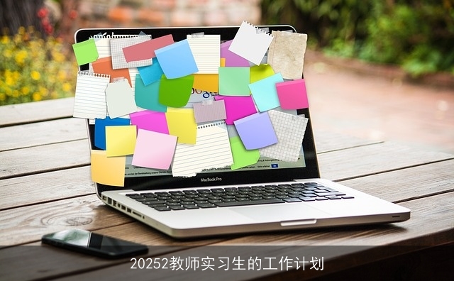 20252教师实习生的工作计划