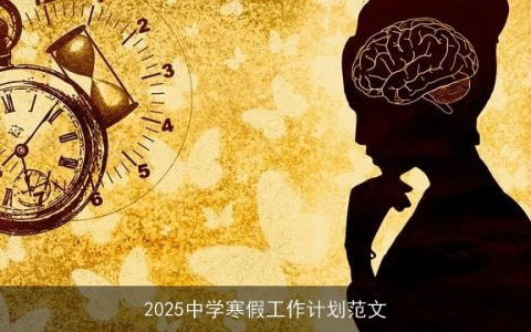 2025中学寒假工作计划：全面发展，寓教于乐