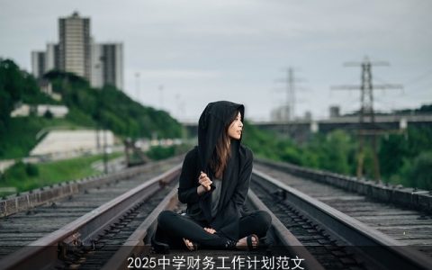 2025中学财务工作计划：目标策略与实施保障