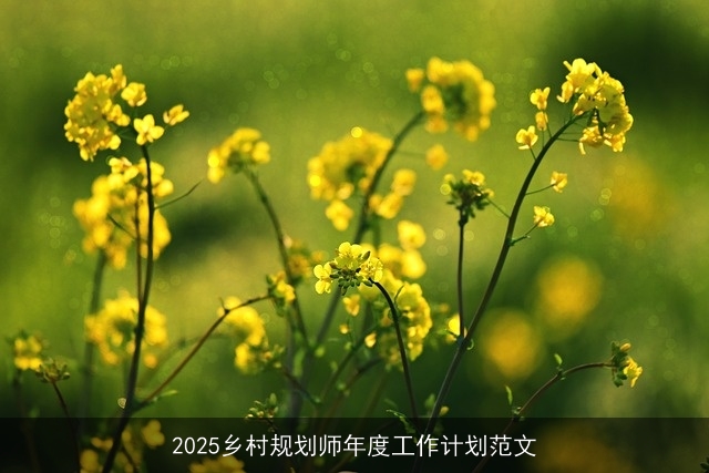 2025乡村规划师年度工作计划范文