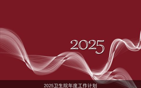 2025卫生院：聚焦质量与创新，提升医疗服务新篇章