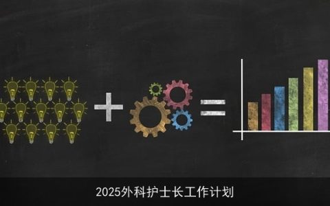 2025外科护士长工作计划：全面提升护理服务与团队建设