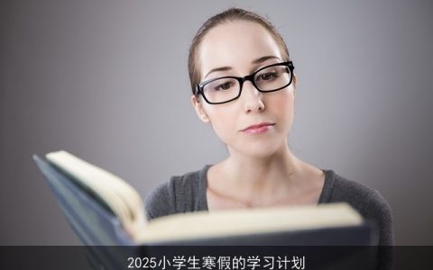 2025寒假小学生学习计划：平衡学习与娱乐，全面发展攻略