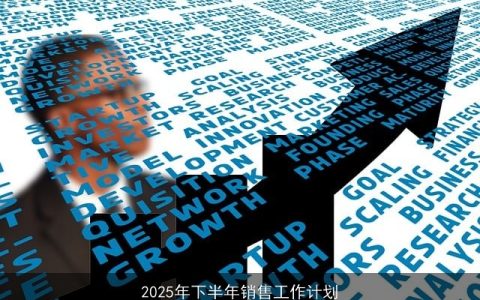 2025年下半年销售工作计划：策略部署与团队成长蓝图