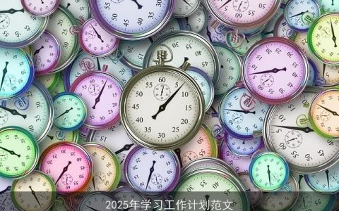 2025年个人成长指南：制定学习工作计划，迎接挑战与机遇