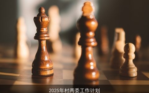 2025年乡村振兴战略下村两委工作计划概览