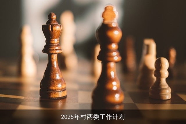 2025年村两委工作计划