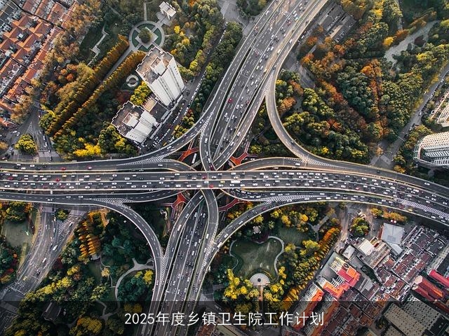 2025年度乡镇卫生院工作计划