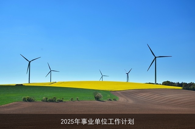 2025年事业单位工作计划