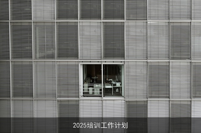 2025培训工作计划