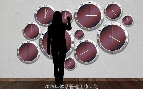 2025年企业竞争力提升：构建高效管理体系与战略规划