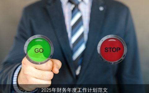 2025年企业财务年度工作计划：优化管理，推动转型升级