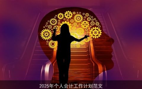 2025年会计个人发展规划与行动计划