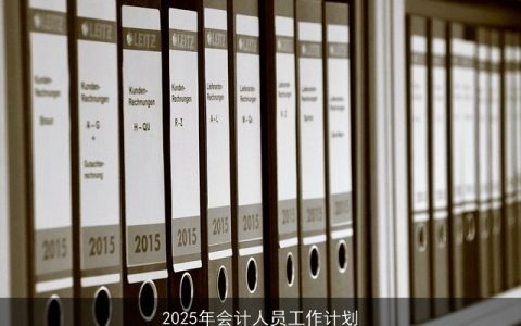 2025年会计人员工作计划：适应变革，提升效率，助力企业决策