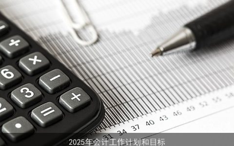 2025年会计工作规划：目标与行动计划