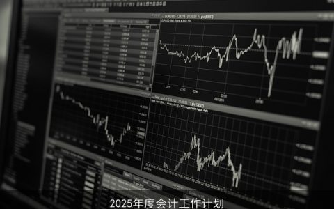 2025年会计工作计划：数字化转型与智能化新时代的财务管理蓝图