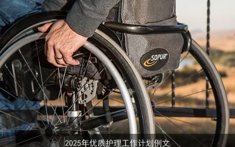 2025年全面升级：优质护理工作计划概述