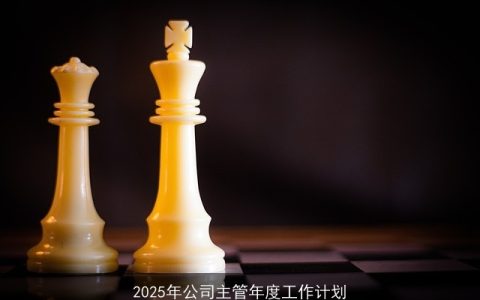 2025年公司主管年度工作计划：目标设定、策略部署与预期成果