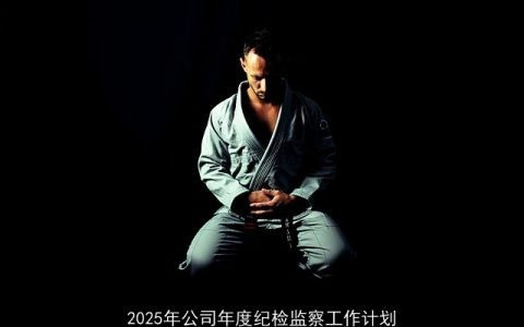 2025年公司纪检监察工作：构建体系，强化监督，保障高质量发展