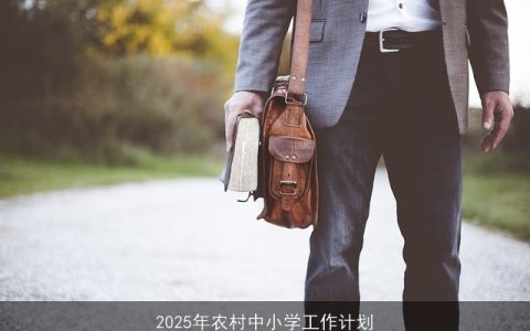 2025年农村中小学教育振兴行动计划：全面提升与公平发展