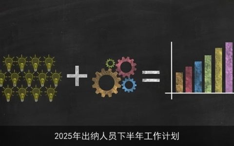 2025年出纳人员下半年工作计划与实施策略