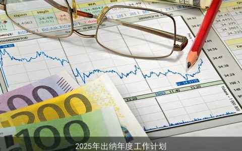 2025年出纳工作计划：目标设定、行动计划与风险应对