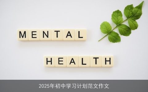 2025年初中生成长计划：目标设定与具体实施策略