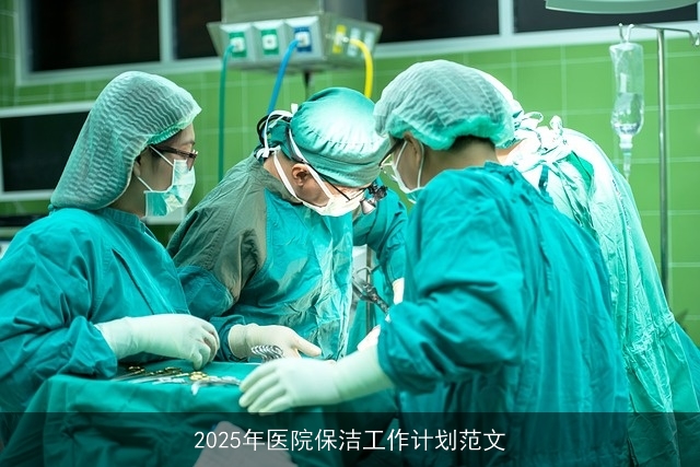 2025年医院保洁工作计划范文