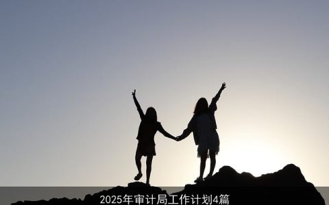 2025年审计局四大工作重点及实施计划