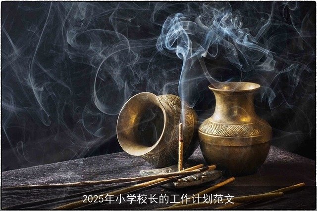 2025年小学校长的工作计划范文