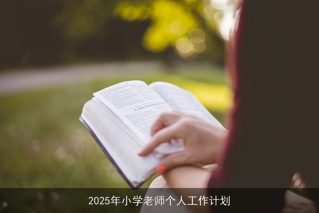 2025年小学老师个人工作计划