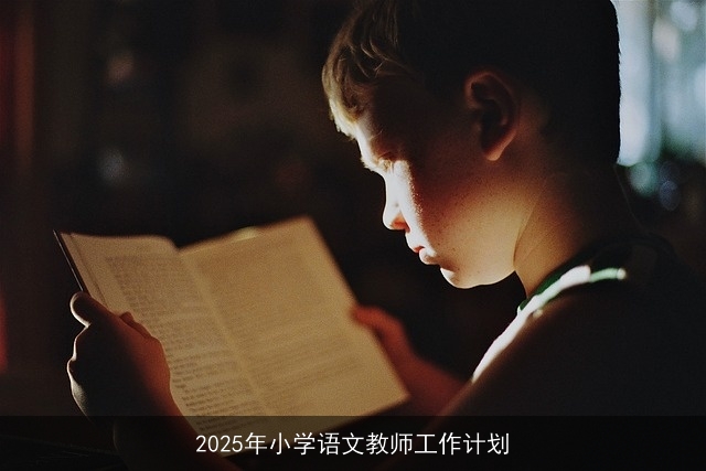 2025年小学语文教师工作计划