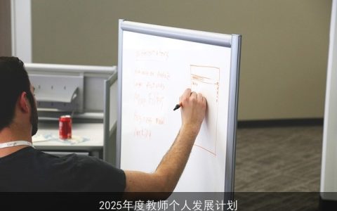 2025年度教师个人发展计划：新时代卓越教育工作者的成长之路