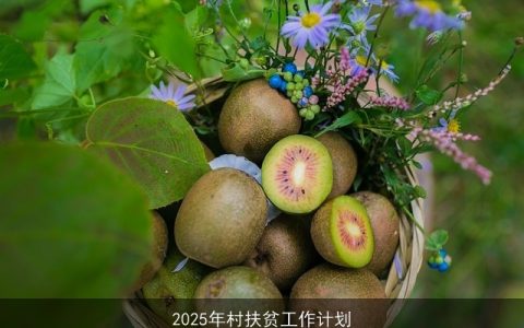 2025年我村扶贫工作规划：迈向全面脱贫与乡村振兴