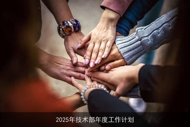 2025年技术部年度工作计划