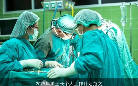 2025年护士长工作计划：以患者为中心，全面提升护理服务水平