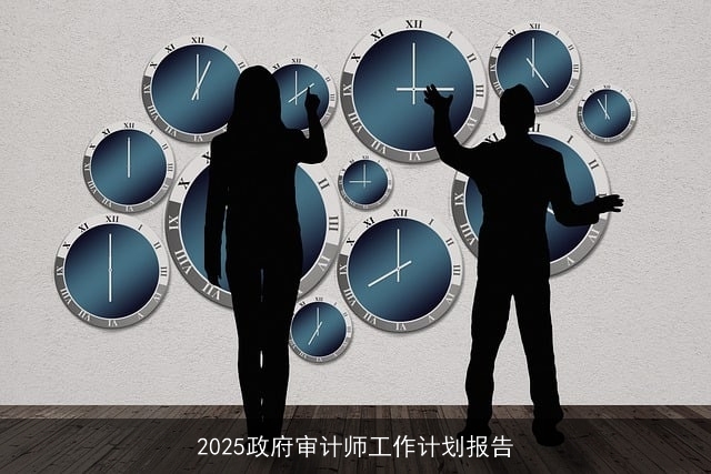 2025政府审计师工作计划报告