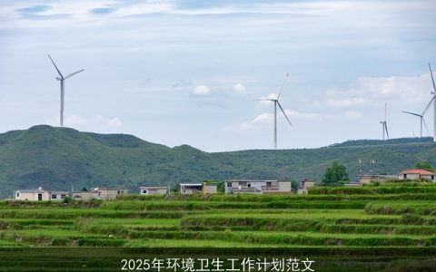 2025年环境卫生工作计划：构建清洁健康家园的蓝图