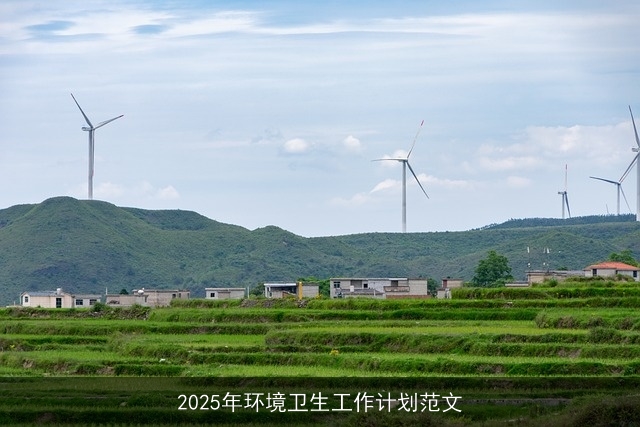 2025年环境卫生工作计划范文