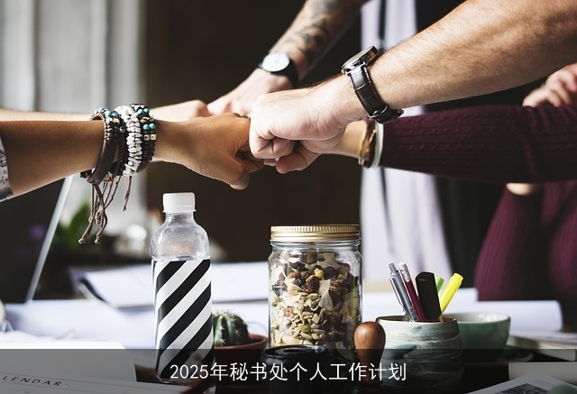 2025年秘书处个人工作计划