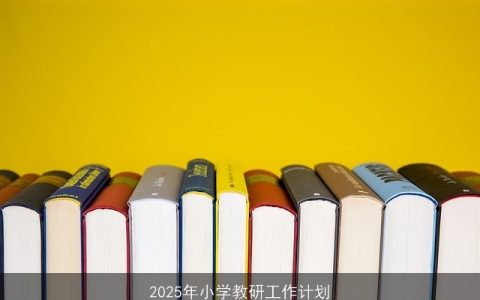 2025年小学教研工作计划